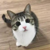 江莱宝