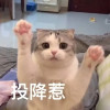爆炒土豆