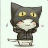 这个冬天不太冷