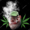 StatCan