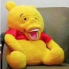 战胜我自己