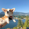 王熙媛