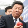 总减速师