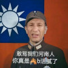 煞笔蔡英文