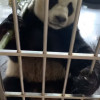 不要用品燪做真名