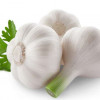 garlic品
