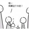 民主统一中国
