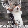 米兰达可儿