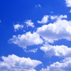 jiuxiao