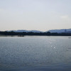 PeterHan