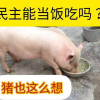 alchen5555
