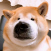 kakayuyu