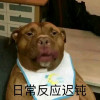 看热闹的无知者