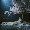 LoveAimer