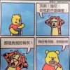 嵩等你到年底