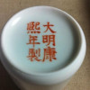 大马的逃亡