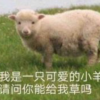 被贴标签后的小号