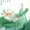 孔晏昭