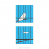 籠中鳥