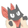魔法猫猫8964