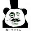 葱猫