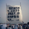 加速加速习习习