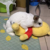 鬼域魔怔人