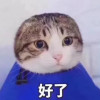 期盼民主自由