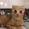 帮我点下加速