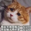 永不休矣