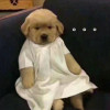 yingyingpooh