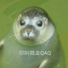 aa751671684