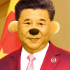 锤爆共惨党