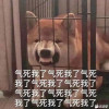 反清复民