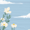 花小貓