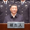 光与暗的交替