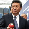 宽衣大帝习维尼