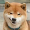 子時自我的廁紙