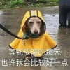 头号嫌疑犯