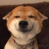 泡沫