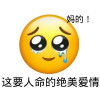 墙外的蒲公英