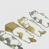 玩家