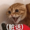 梁志超他奶奶
