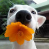 cute_boy