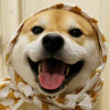 北風