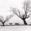 ZHONGDH1987
