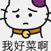 萨屯嘉太宗