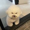 gujun
