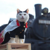yamato