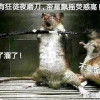 盗跖